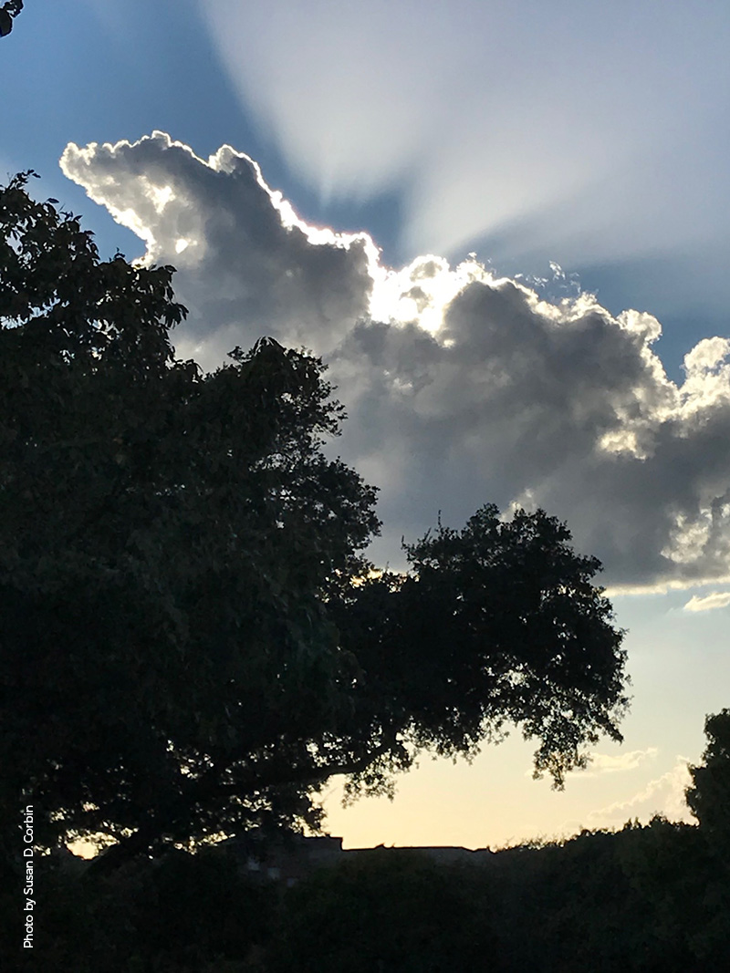 Sunset and clouds behind tree landscape photo by Susan D. Corbin