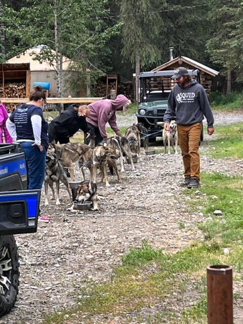 Sled dogs hooked up to ATV