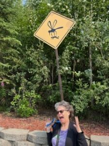 Humorous sign of giant mosquito carrying off a person