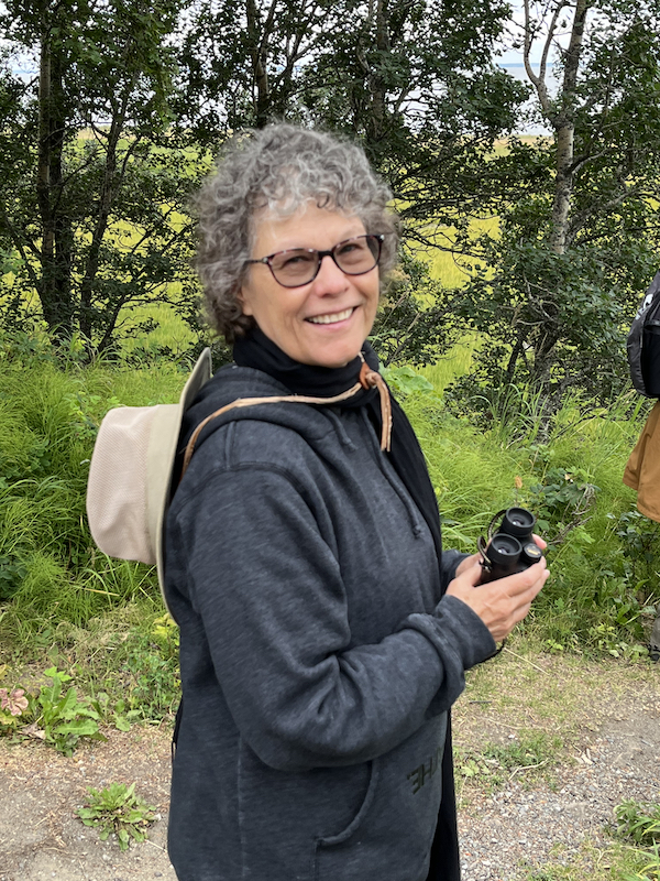 King Salmon / Katmai National Park—Brooks Falls - Susan Corbin