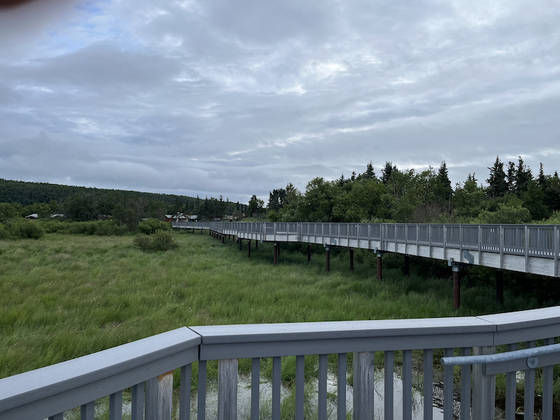 Boardwalk at Brooks Falls, Alaska