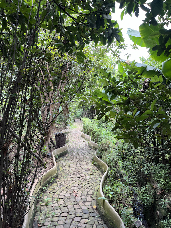 Pathway at ZOMA Museum in Addis Ababa, Ethiopia