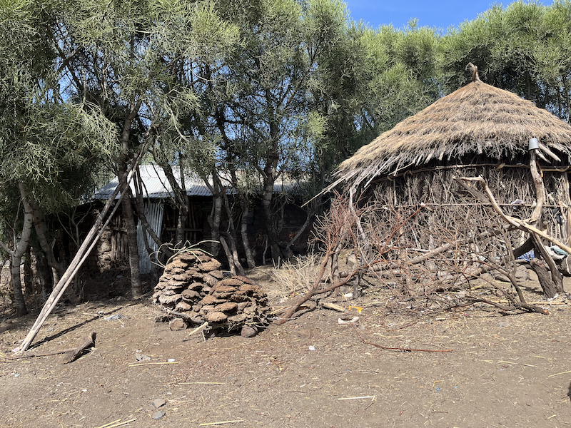 Homes in Asheton Village, Ethiopia