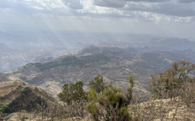 Drive to Simien mountains and a guided walk around the lodge