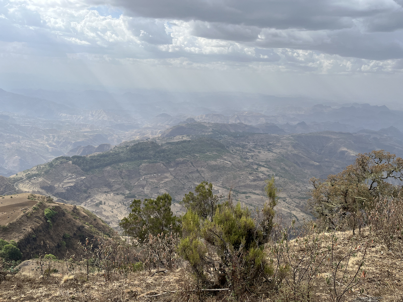 Drive to Simien mountains and a guided walk around the lodge