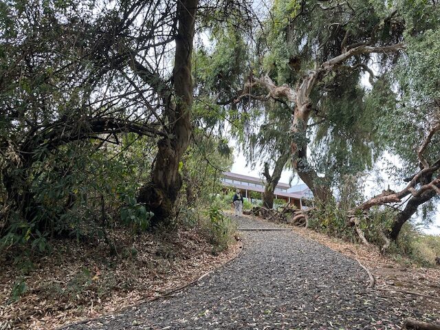 Trails to the rooms at Limalimo Lodge, Ethiopia