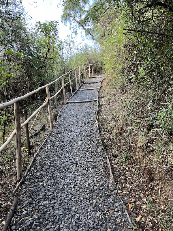 Trails to the rooms at Limalimo Lodge, Ethiopia